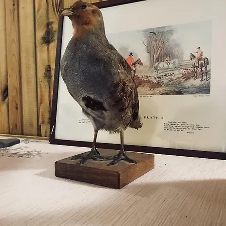 Metlin Puhkemaja *